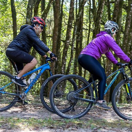 Alive Eco Hut Pousada モンテ・ヴェルデ エクステリア 写真