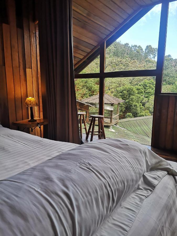 Alive Eco Hut Pousada モンテ・ヴェルデ エクステリア 写真