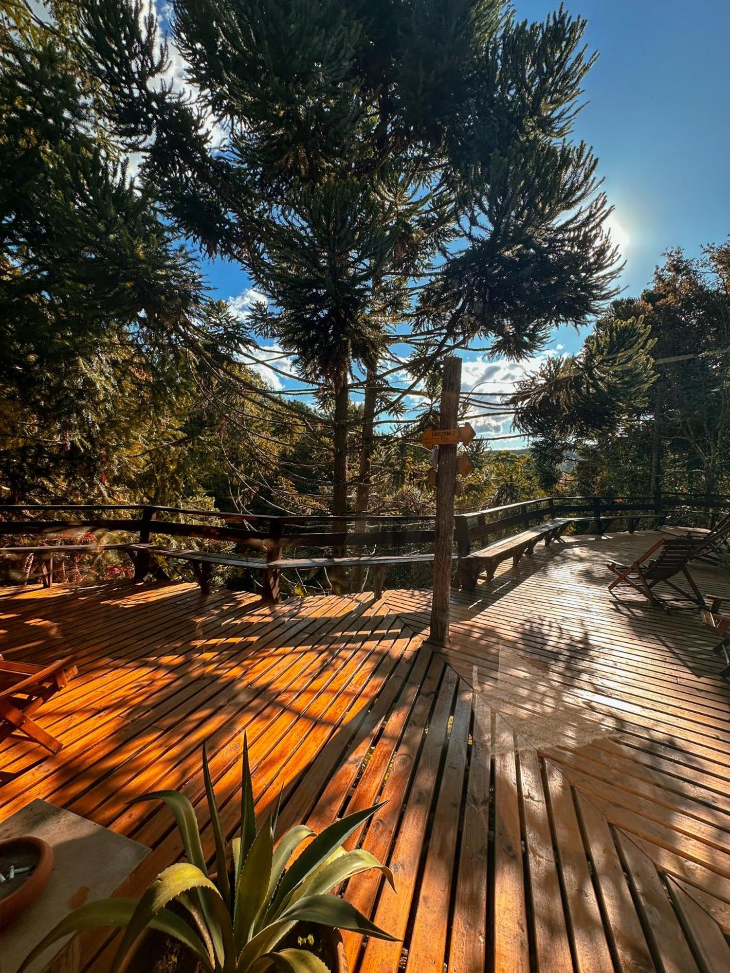 Alive Eco Hut Pousada モンテ・ヴェルデ エクステリア 写真