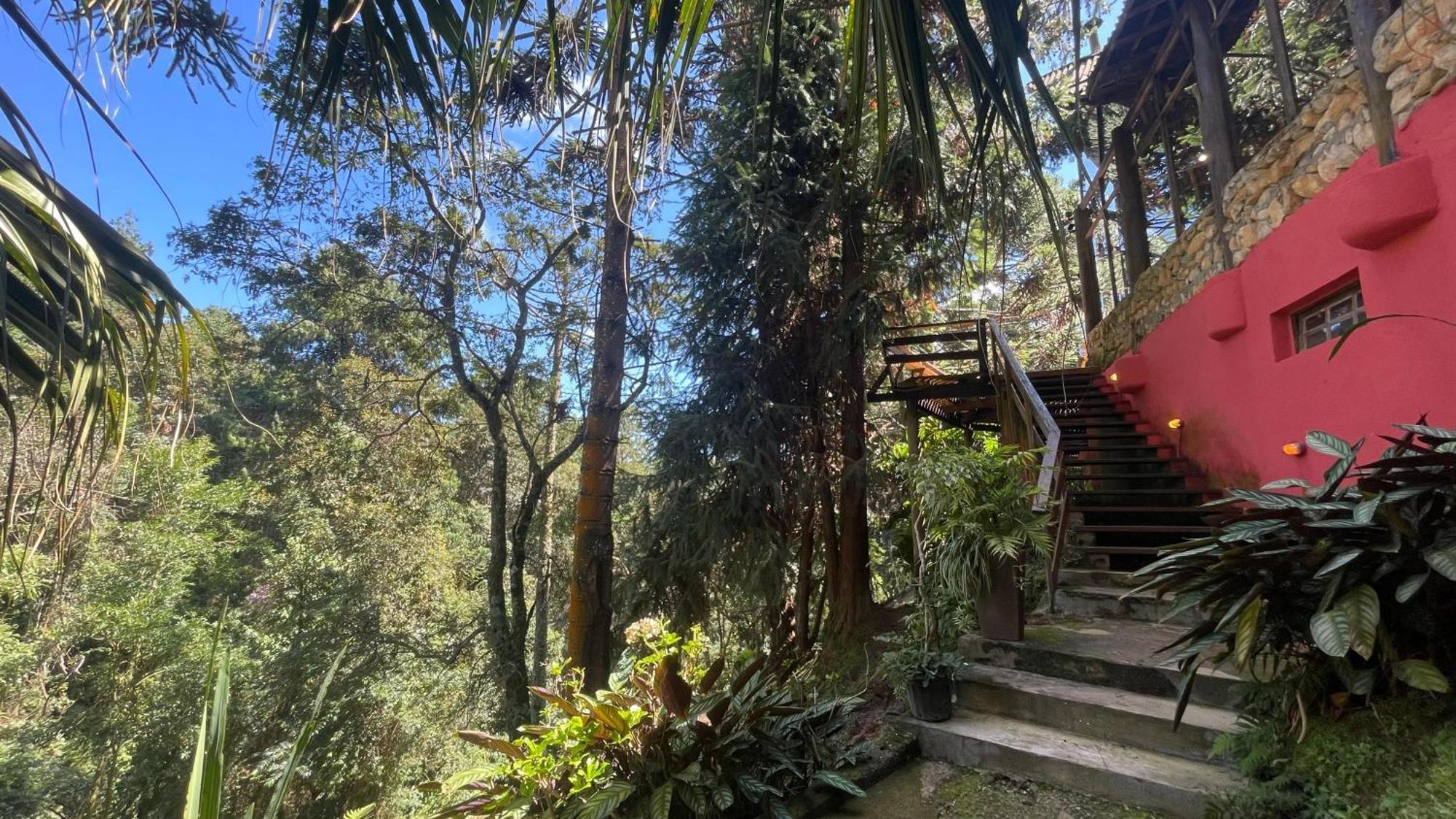 Alive Eco Hut Pousada モンテ・ヴェルデ エクステリア 写真